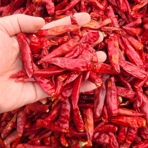 干辣椒